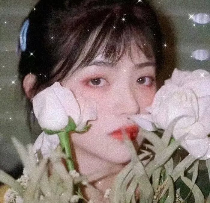儍瓜艳史
